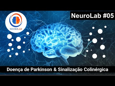 Vídeo: O que são interneurônios colinérgicos estriatais?