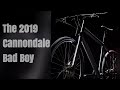 The 2019 Cannondale Bad Boy Rundown. Bonus Ray's 2018 Bad Boy 2