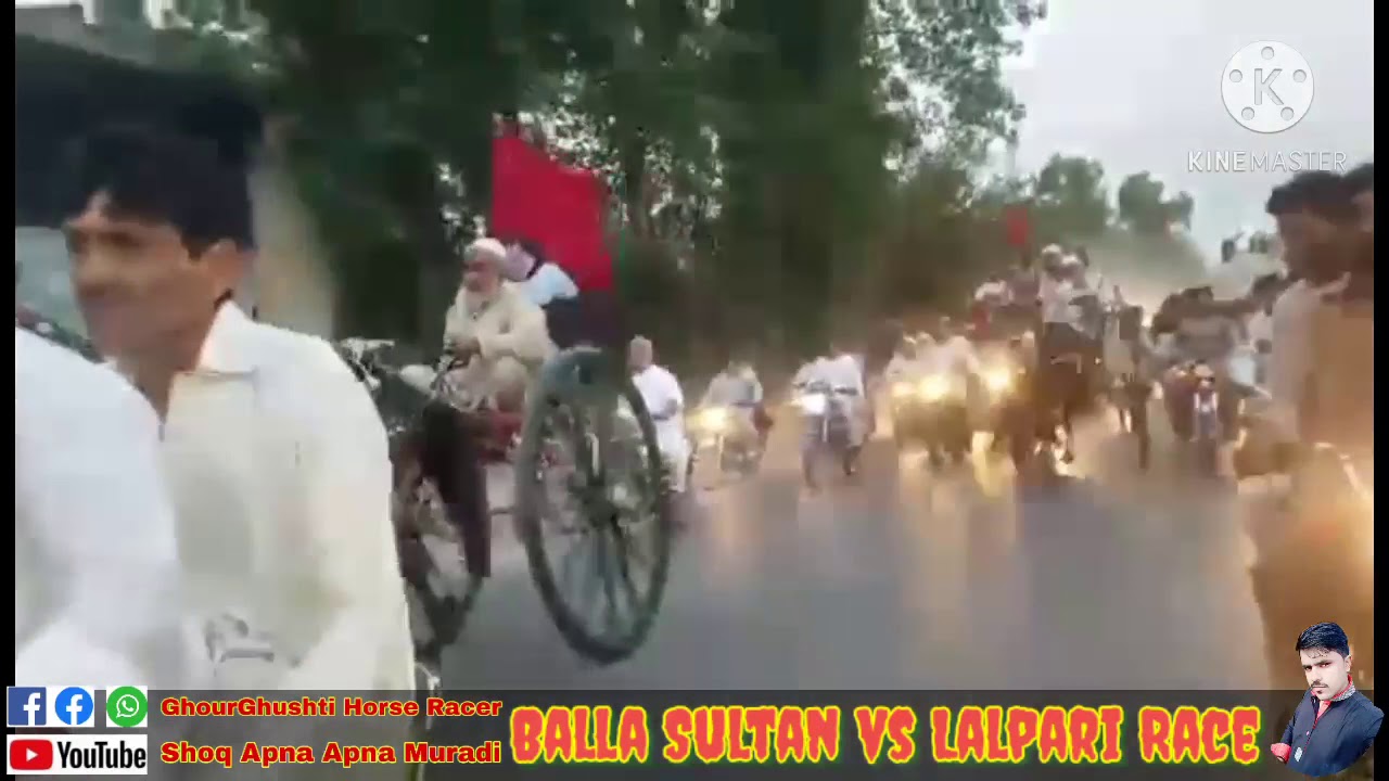 Balla Sultan vs Lalpari Horse Race Swabi 2019 : GhourGhushti Horse Racer