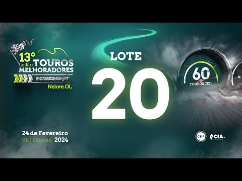 Lote 20 - V3077621 - 13º Leilão de Touros Melhoradores Nelore OL - Edição Virtual