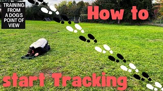 Dogtraining  How To Start Tracking With THIS Special Tool❓