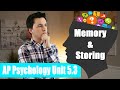 Memory Systems and Processing Quiz