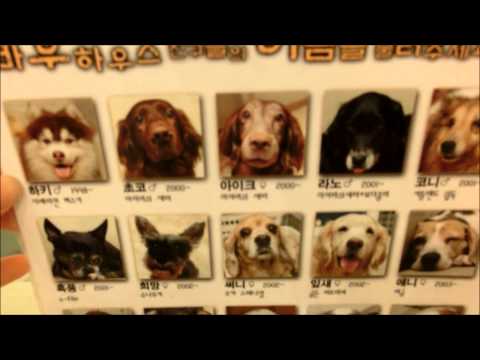 Video: Date Night With Your Dog: Bedste Hundevenlige Restauranter I Los Angeles