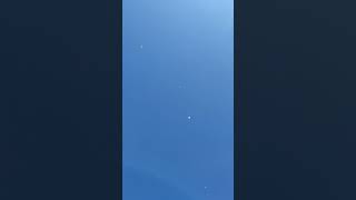 Высоколетные голуби в Курском небе 08.03.24г.