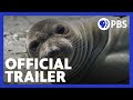 Wildlife Filming Techniques and Goals
