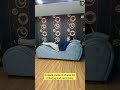 Chaise Lounge Couch Shortsyoutube Shorts Lounge