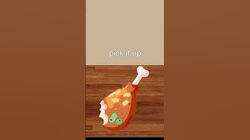 5-Second Rule | Truth or Myth?🤔