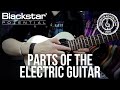 Parts of the Electric Guitar | Blackstar Potential Lesson