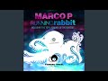 Running Rabbit Glitter Remix mp3