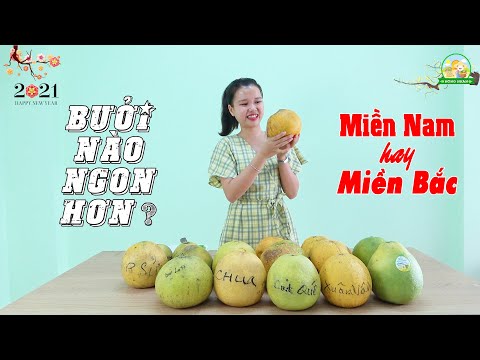 BƯỞI MIỀN NÀO NGON HƠN-THẾ GIỚI BƯỞI