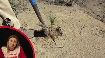 Tree Planter Training 2019 - Planting A Seedling