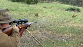 Fox Call -- Part 1 THIS IS A HUNTING VIDEO. VIEWER DISCRETION ADVISED. The weather's warming up and the hills are alive. Foxes are our target and we have a few new ..., From YouTubeVideos