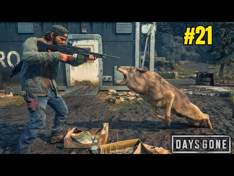 Zombies Are Evolving - Days Gone Gameplay #21