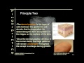 Fingerprinting and Identification Quiz