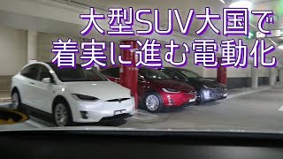 オーストラリアでもテスラが激増した‼と思ったらやっぱりまだまだガソリンSUV大国だった