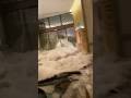 😱Typhoon Ragasa🌀@channelnewsasia #viral #hurricane #shorts @news #trending #video #fyp #news