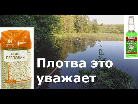 Плотва на перловку с Тутти - Фрутти. РЫБАЛКА