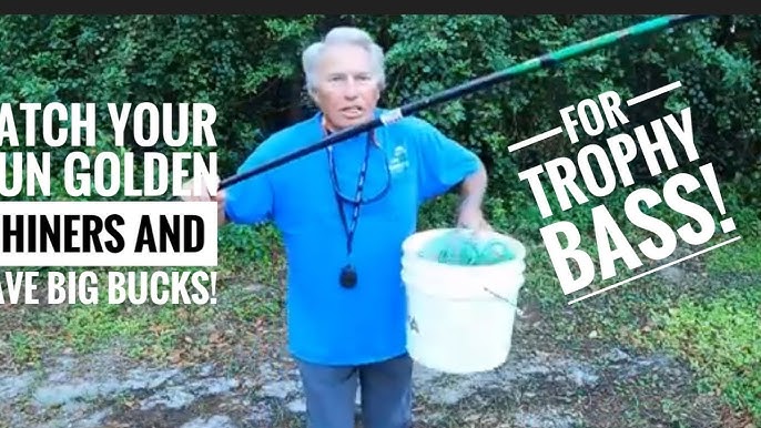 STOP PAYING FOR LIVE BAIT! How To Catch SHINERS!! (EASY) 