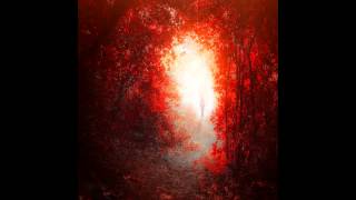 Shane Morris - Equinox