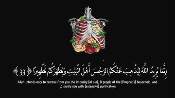 سورة الأحزاب من 28 الى 35 | Al-ahzab