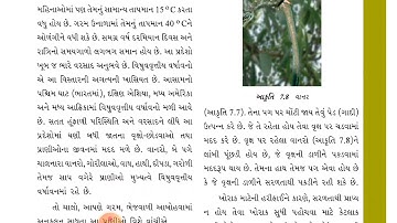 std 7 science path 7 part 6 shreemad dayanand kanya vidhyalaya jamnagar