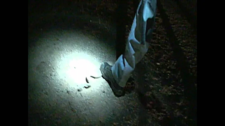 Road Cruising for Western Diamondback Rattlesnakes