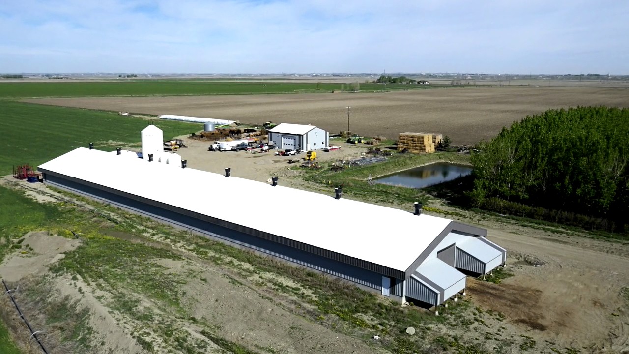 40.81 Acre Poultry Farm with 15,000 Units of Broiler Quota and 40 Acres