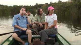 Flooded Forest And Vine Swinging 101