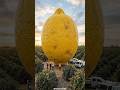 The Ultimate Tiny House... or Giant Fruit?