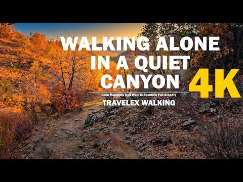 Travelex Walking Peaceful Solo Walk Through A Golden Mountain Valley 4K