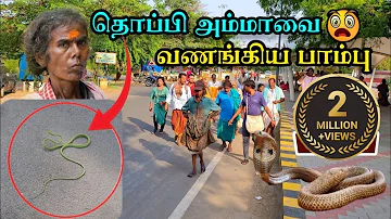 😱தொப்பி அம்மாவை வணங்கிய பாம்பு 🐍🕉🙏 திருவண்ணாமலை #tiruvannamalai #thoppiamma #thoppiammal #thoppi