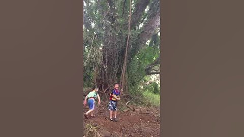 Tarzan practice for 2 boys swinging on vine for fun filmed by WildWomanOutdoors.com