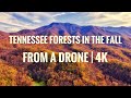 Insane Fall Colors Explosion. Autumn Foliage In Tennessee Forests and Waterfalls | Uforia Drones