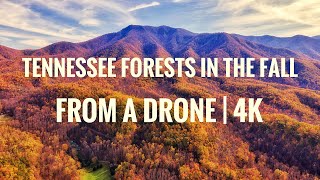 Insane Fall Colors Explosion. Autumn Foliage In Tennessee Forests and Waterfalls | Uforia Drones