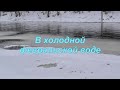 В холодной февральской воде