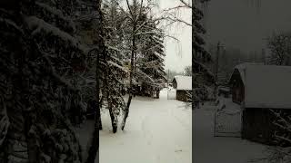 Славське, 2021-2-14 #щоденник #життя