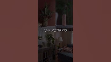 سورة يوسف 💙#حالات_دينية #حالات_واتس #حالات_واتساب #قرآن #حالات #مشاري_العفاسي