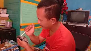 Cara Menyusui Kelinci Tanpa Induk