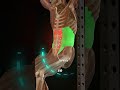 "Train smart, not just hard.Let your abs do the work — not your hip flexors.🔥💯"#yt #musclestrains