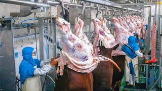 Amazing Modern High Technology Cow Meat Production Process, Extremely Excellent Pork Processing