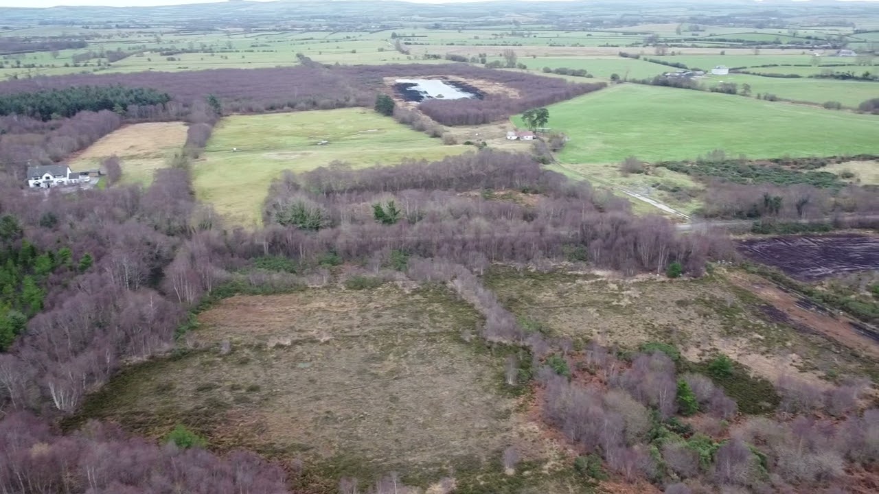 Ardee Bog, Co. Louth