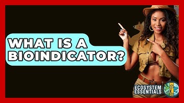 What Is A Bioindicator? - Ecosystem Essentials
