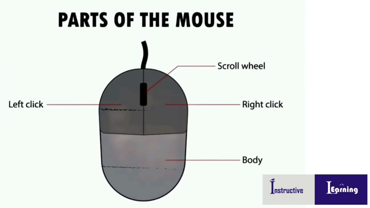 Computer Mouse 