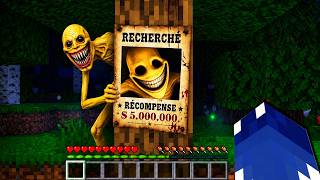 Verity Est Recherché Sur Minecraft