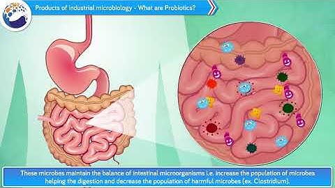 Chap - 7 Introduction to Microbiology| Class-10 Science &Technology -2 | MH  State Board | Animated