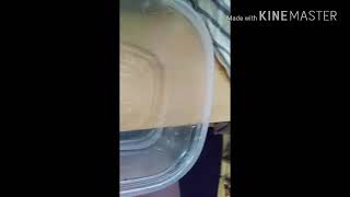 Making slime test #subscribe for shout out