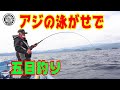 初めてのノマセ釣り【アジの泳がせで五目釣り】