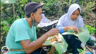 masak Tumis Ati tomat untuk sarapan , lalapan tinggal metik hidupdidesa