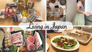 travel shopping haul, top up groceries, Miyazaki inspired dinner | post travel routine