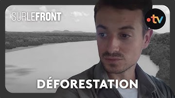 Brésil : au cœur de la forêt en flammes - #SurLeFront de l